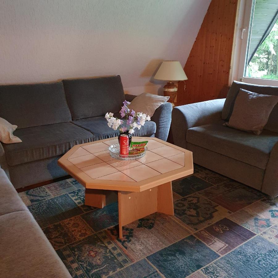 Finnhaus Neubauer Elbingerode  Exterior foto